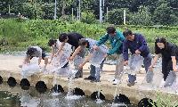 상주시, 낙동강에 쏘가리·뱀장어 1만 마리 방류
